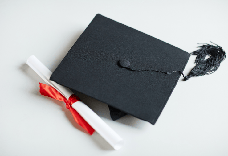 undergraduate education